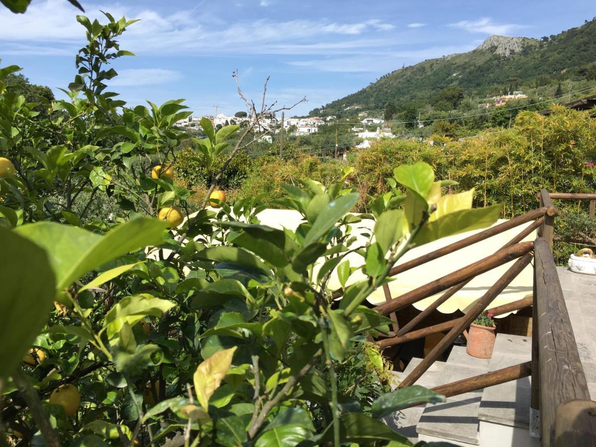 Relais Villa Anna Anacapri  Buitenkant foto